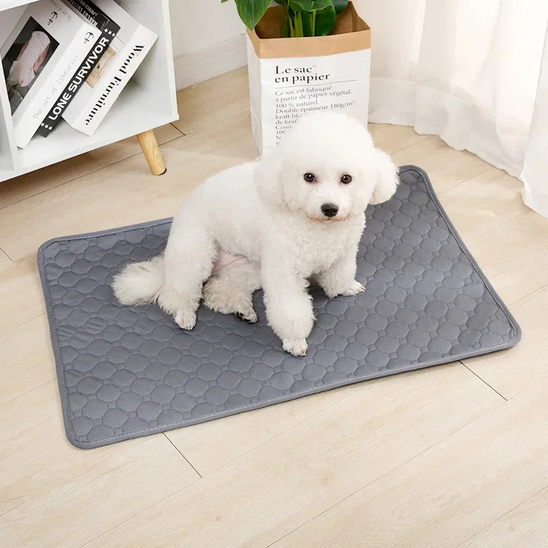 Reusable Absorbent Dog Pee Pad Blanket - Washable Puppy Training Pad and Pet Bed Urine Mat for Car Seat Protection and Pet Care Supplies