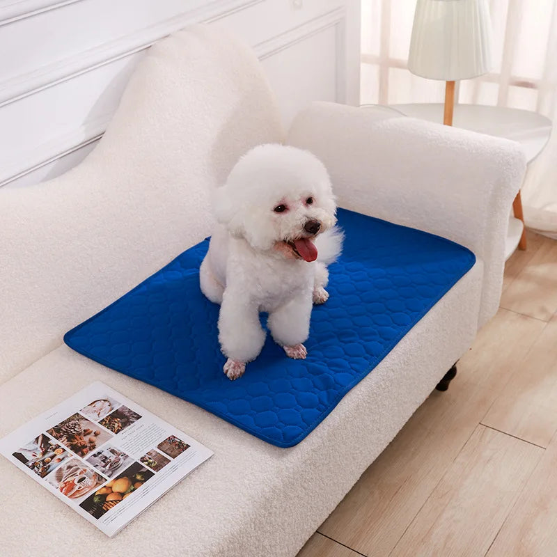 Reusable Absorbent Dog Pee Pad Blanket - Washable Puppy Training Pad and Pet Bed Urine Mat for Car Seat Protection and Pet Care Supplies