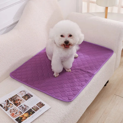 Reusable Absorbent Dog Pee Pad Blanket - Washable Puppy Training Pad and Pet Bed Urine Mat for Car Seat Protection and Pet Care Supplies