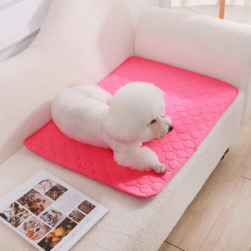 Reusable Absorbent Dog Pee Pad Blanket - Washable Puppy Training Pad and Pet Bed Urine Mat for Car Seat Protection and Pet Care Supplies